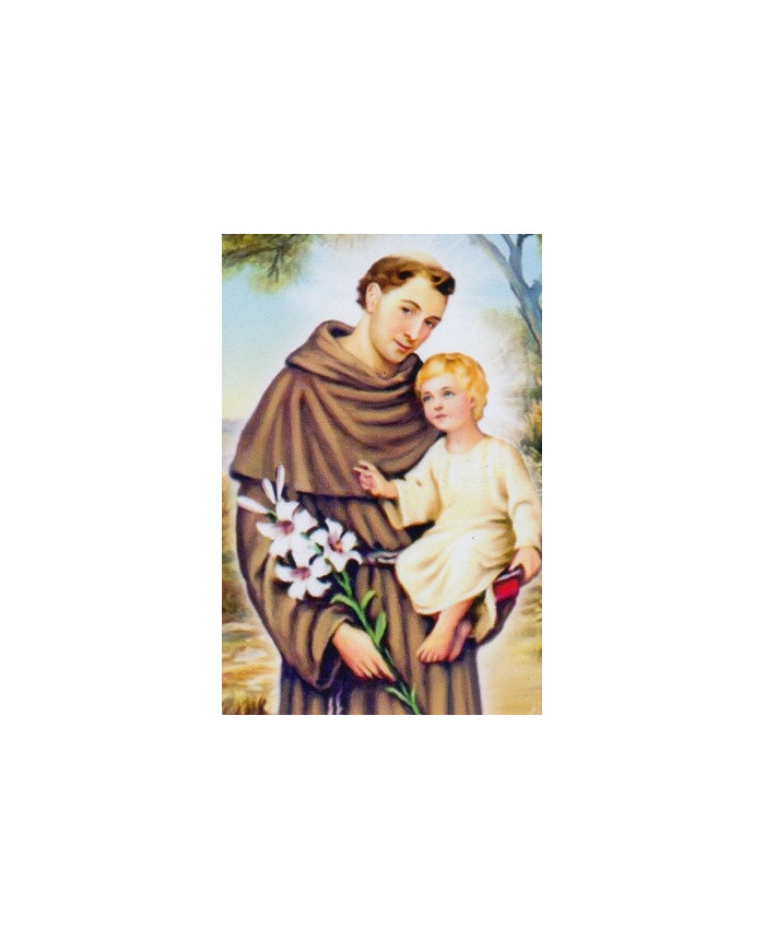 Obraz na plátne (ZOP-A3) Svätý Anton